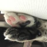 (Category: ) located in . Submitted by chestnut_rumble (Listing ID 1385677249, Image 1). Description: .