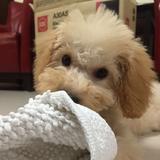 (Category: ) located in . Submitted by kiyogi (Listing ID 1383887728, Image 1). Description: .