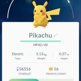 (Category: ) located in . Submitted by pokemonhelper (Listing ID 1334325113, Image 1). Description: .