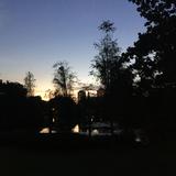 (Category: ) located in . Submitted by polecatty (Listing ID 1344570726, Image 1). Description: .