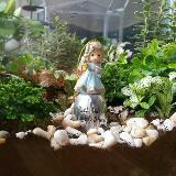 (Category: ) located in . Submitted by tracetoh.1 (Listing ID 1379732998, Image 1). Description: .