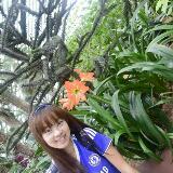 (Category: ) located in . Submitted by leeguoyan87 (Listing ID 270497848, Image 1). Description: .