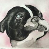 (Category: ) located in . Submitted by mamioa (Listing ID 1452931861, Image 1). Description: .