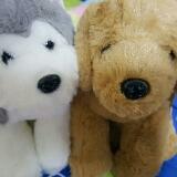 (Category: ) located in . Submitted by leeenzy (Listing ID 1368358511, Image 1). Description: .