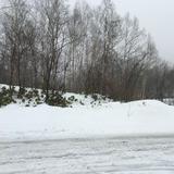 (Category: ) located in . Submitted by bearlcn (Listing ID 1455519163, Image 1). Description: .