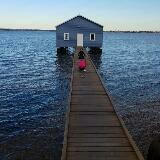 (Category: ) located in . Submitted by slackwear (Listing ID 1313869083, Image 1). Description: .