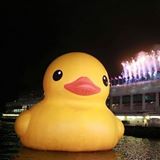 （分類：）位於 。 由 gdben2009 提交（商品編號 1383572277，圖片 1）。簡介： 。