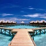 (Category: ) located in . Submitted by shophaunt (Listing ID 1443280670, Image 1). Description: .