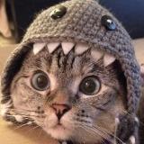 (Category: ) located in . Submitted by terior (Listing ID 1261483476, Image 1). Description: .