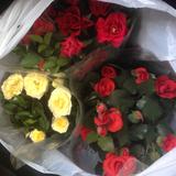 (Category: ) located in . Submitted by syaqirahkasman (Listing ID 1307684296, Image 1). Description: .
