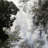 (Category: ) located in . Submitted by 5countsof4 (Listing ID 1266674081, Image 1). Description: .