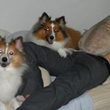 (Category: ) located in . Submitted by lousyman6 (Listing ID 1465903822, Image 1). Description: .