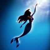 由 mermaid_m (刊登 ID 1373227016，圖片 1) 提交，位於 的 (類別：)，說明：。