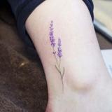 (Category: ) located in . Submitted by chanll1978 (Listing ID 1384256112, Image 1). Description: .