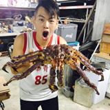 （分類：）位於 。 由 11chunyu11 提交（商品編號 1297346571，圖片 1）。簡介： 。