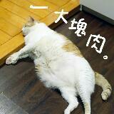 （分類：）位於 。 由 nicnicnicnicnicnic 提交（商品編號 1252607802，圖片 1）。簡介： 。