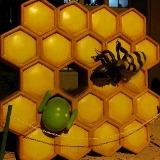 (Category: ) located in . Submitted by jl_bls (Listing ID 1247316968, Image 1). Description: .