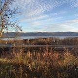 (Category: ) located in . Submitted by racarousel (Listing ID 1322183529, Image 1). Description: .
