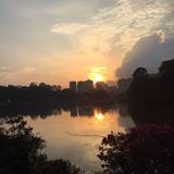 (Category: ) located in . Submitted by goodvalue_sg (Listing ID 1376027869, Image 1). Description: .
