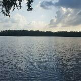 (Category: ) located in . Submitted by griphix (Listing ID 1336890954, Image 1). Description: .