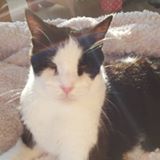 (Category: ) located in . Submitted by egoldfish (Listing ID 226650192, Image 1). Description: .