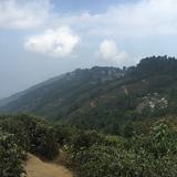 (Category: ) located in . Submitted by hardikr (Listing ID 1469680211, Image 1). Description: .