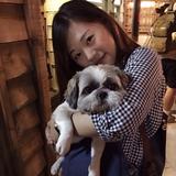 由 pan_tina (刊登 ID 1304658008，圖片 1) 提交，位於 的 (類別：)，說明：。