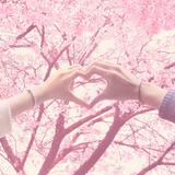 (分類:)位於 。 由 tinglammm 提交(商品編號 1463342151,圖片 1)。簡介: 。