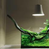 (Category: ) located in . Submitted by kantaoking (Listing ID 1378830613, Image 1). Description: .