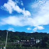 (分類:)位於 。 由 pi_mo777 提交(商品編號 1447035484,圖片 1)。簡介: 。