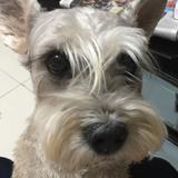 (Category: ) located in . Submitted by sab.ling (Listing ID 1368355532, Image 1). Description: .
