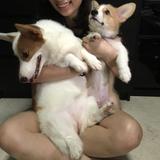 (Category: ) located in . Submitted by j.limqt (Listing ID 1450530261, Image 1). Description: .