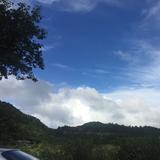 由 clairehuang17 (刊登 ID 1352927250，圖片 1) 提交，位於 的 (類別：)，說明：。