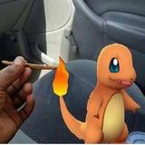 (Category: ) located in . Submitted by blackbirdsfly (Listing ID 1309758460, Image 1). Description: .