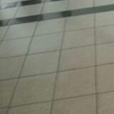 (Category: ) located in . Submitted by apple6999 (Listing ID 1455759135, Image 1). Description: .