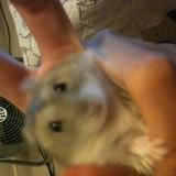 (Category: ) located in . Submitted by lucaslmw (Listing ID 1440392468, Image 1). Description: .