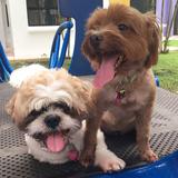 (Category: ) located in . Submitted by fijidaisy (Listing ID 216018837, Image 1). Description: .