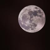 （分類：）位於 。 由 nivertre 提交（商品編號 1384970019，圖片 1）。簡介： 。