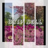 （分類：）位於 。 由 cyipsell 提交（商品編號 1293391694，圖片 1）。簡介： 。