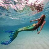 由 siren.from.the.sea (刊登 ID 1376520057，圖片 1) 提交，位於 的 (類別：)，說明：。