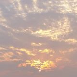 （分類：）位於 。 由 miang1314 提交（商品編號 1135507895，圖片 1）。簡介： 。