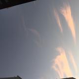 （分類：）位於 。 由 affect37 提交（商品編號 1370790006，圖片 1）。簡介： 。