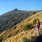 (Kategori: ) berada di . Dikirim oleh Prelovedtoreloved2016 (ID iklan 1375377599, Gambar 1). Deskripsi: .
