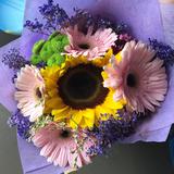 (Category: ) located in . Submitted by mabbby (Listing ID 1373615264, Image 1). Description: .