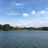 (Category: ) located in . Submitted by sq547 (Listing ID 1253649364, Image 1). Description: .