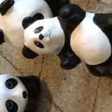 （分類：）位於 。 由 meefee 提交（商品編號 1377972805，圖片 1）。簡介： 。