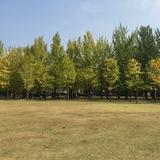 (Category: ) located in . Submitted by yingying.t88 (Listing ID 1454918860, Image 1). Description: .
