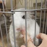 （分類：）位於 。 由 waiyee_chan 提交（商品編號 1362507917，圖片 1）。簡介： 。