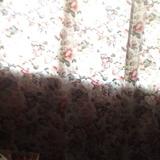 (Category: ) located in . Submitted by farahsyahira_96 (Listing ID 1248147426, Image 1). Description: .