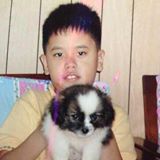 (Category: ) located in . Submitted by jiaterng (Listing ID 1457157450, Image 1). Description: .